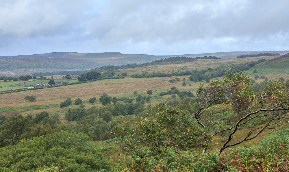 Higger Tor Higger Tor